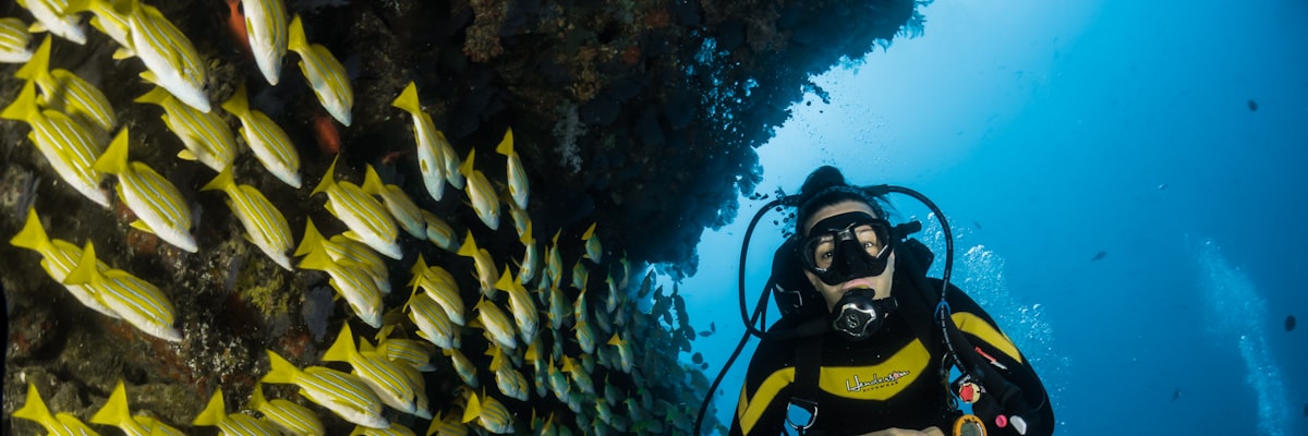 Scuba Junkie Semporna