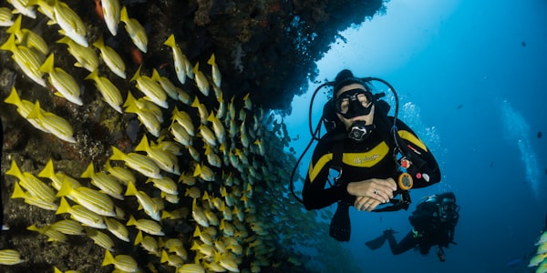 Dive Package