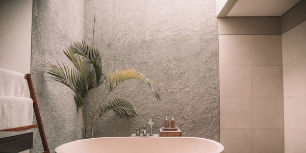 Body Scrub Package